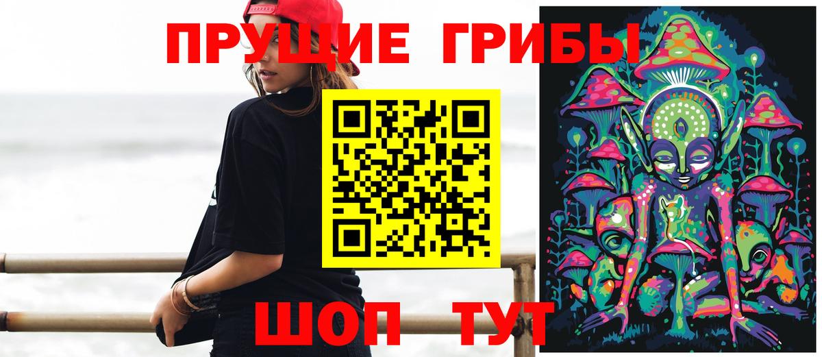 Верхняя Пышма  Галлюциногенные грибы Psilocybe  Вход с VPN 